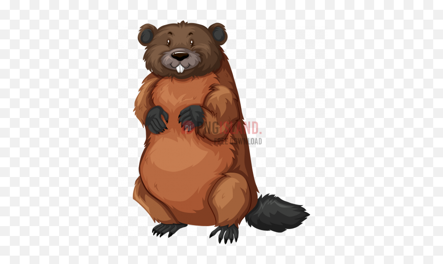 Png Image With Transparent Background - Illustration,Beaver Png