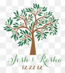 Olive Tree Logo Template Google Search - Simple Drawing png