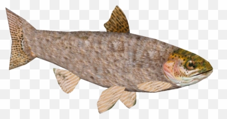Furry Trout - Rainbow Trout Png,Trout Png