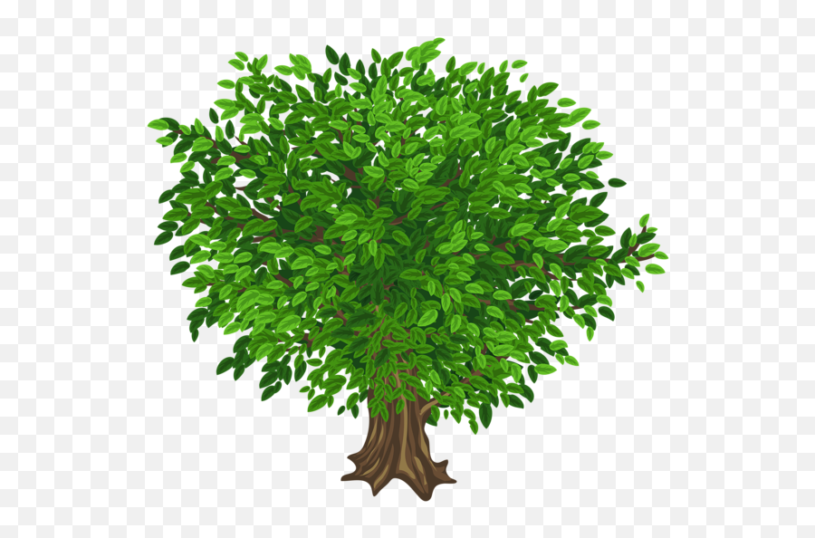 Tree Png Images Transparent Background - Tree Without Back Ground,Tree Transparent