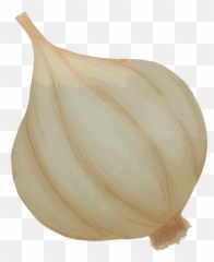 Jason B Graham - Elephant Garlic Png,Garlic Png
