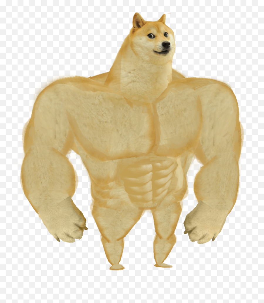 Shiba Inu Doge Meme Png Image - Swole Doge,Shiba Inu Png