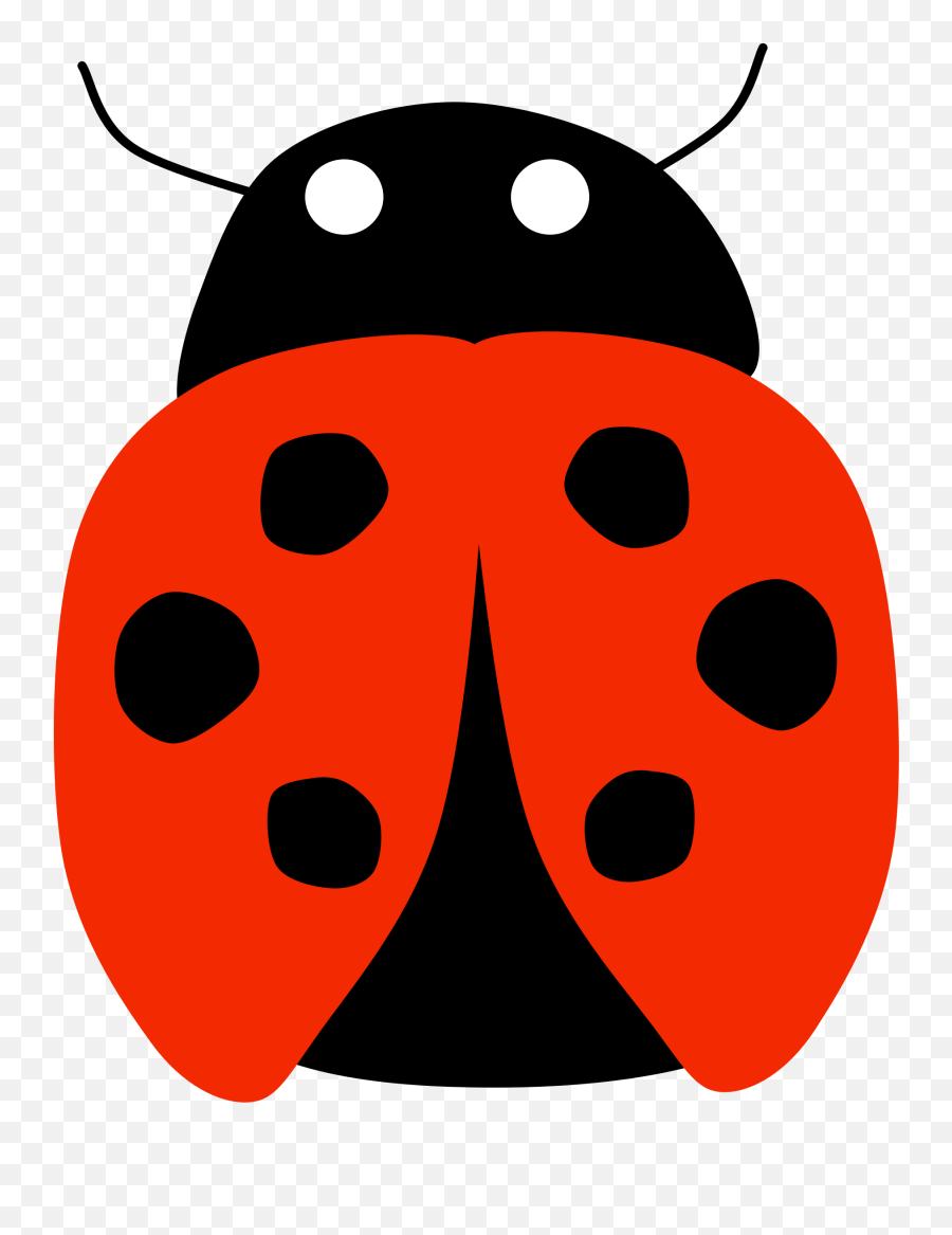 Ladybird Beetle Adrien Agreste Button Marinette Miraculous - Ladybirds Clipart Png,Miraculous Ladybug Png