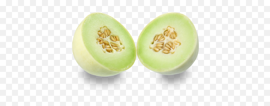 Melon - Usa Melon Png,Honeydew Png