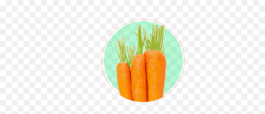 5 Alimentos Para Salud Ocular Javieragarcia - Baby Carrot Png,Zanahoria Png