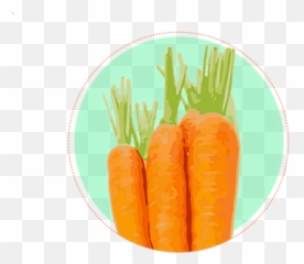 5 Alimentos Para Salud Ocular Javieragarcia - Baby Carrot Png,Zanahoria Png