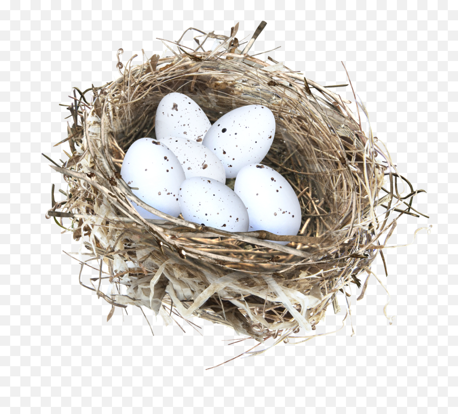 Nest Png - Eggs On The Nest,Nest Png