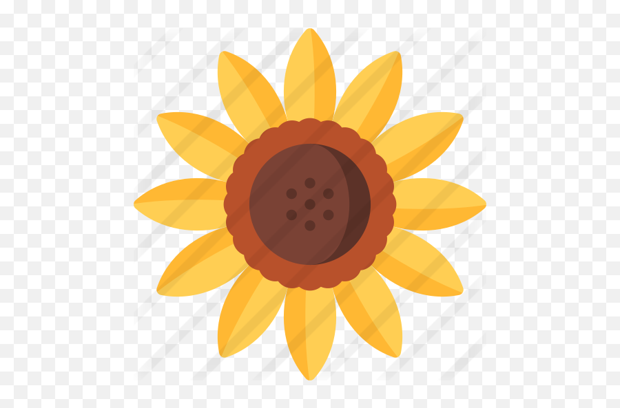 Sunflower - Happy Png,Sunflower Icon