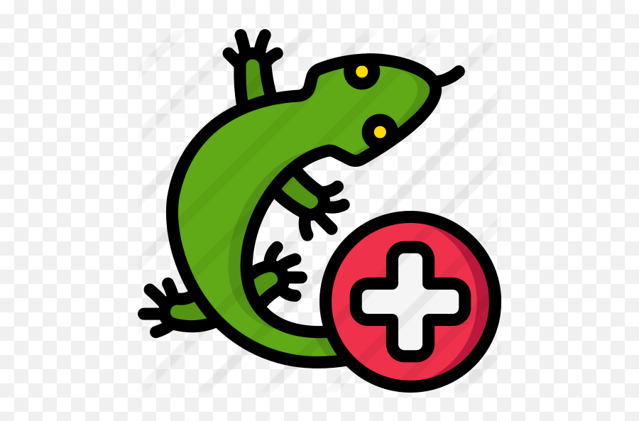 Reptile - Free Animals Icons Reptile Icon Png,Lizard Icon