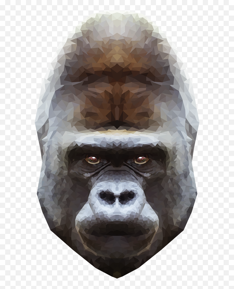 Emma Simoncic U2014 Emmasimoncictumblrcom Low Poly Gorilla - Gorilla Face Png,Gorilla Transparent