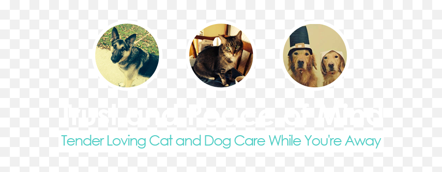 Paws U0026 Claws Superb Pet Care Edison Nj - Dog Png,Cat Icon For Facebook