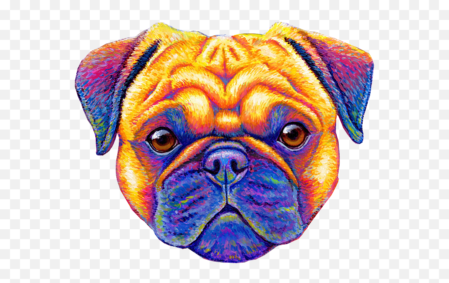 Colorful Rainbow Pug Dog Portrait Adult Pull - Over Hoodie For Pug Png Colorful,Pug Icon