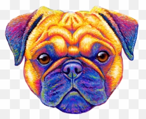 Colorful Rainbow Pug Dog Portrait Adult Pull - Over Hoodie for Png