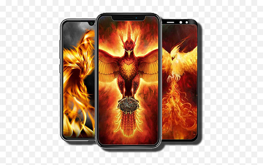 Phoenix Wallpapers Hd Apk 10 - Download Apk Latest Version Phoenix Harry Potter Flying Png,Phoenix Bird Icon