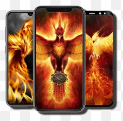Phoenix Wallpapers Hd Apk 10 - Download latest version Harry Potter Flying png