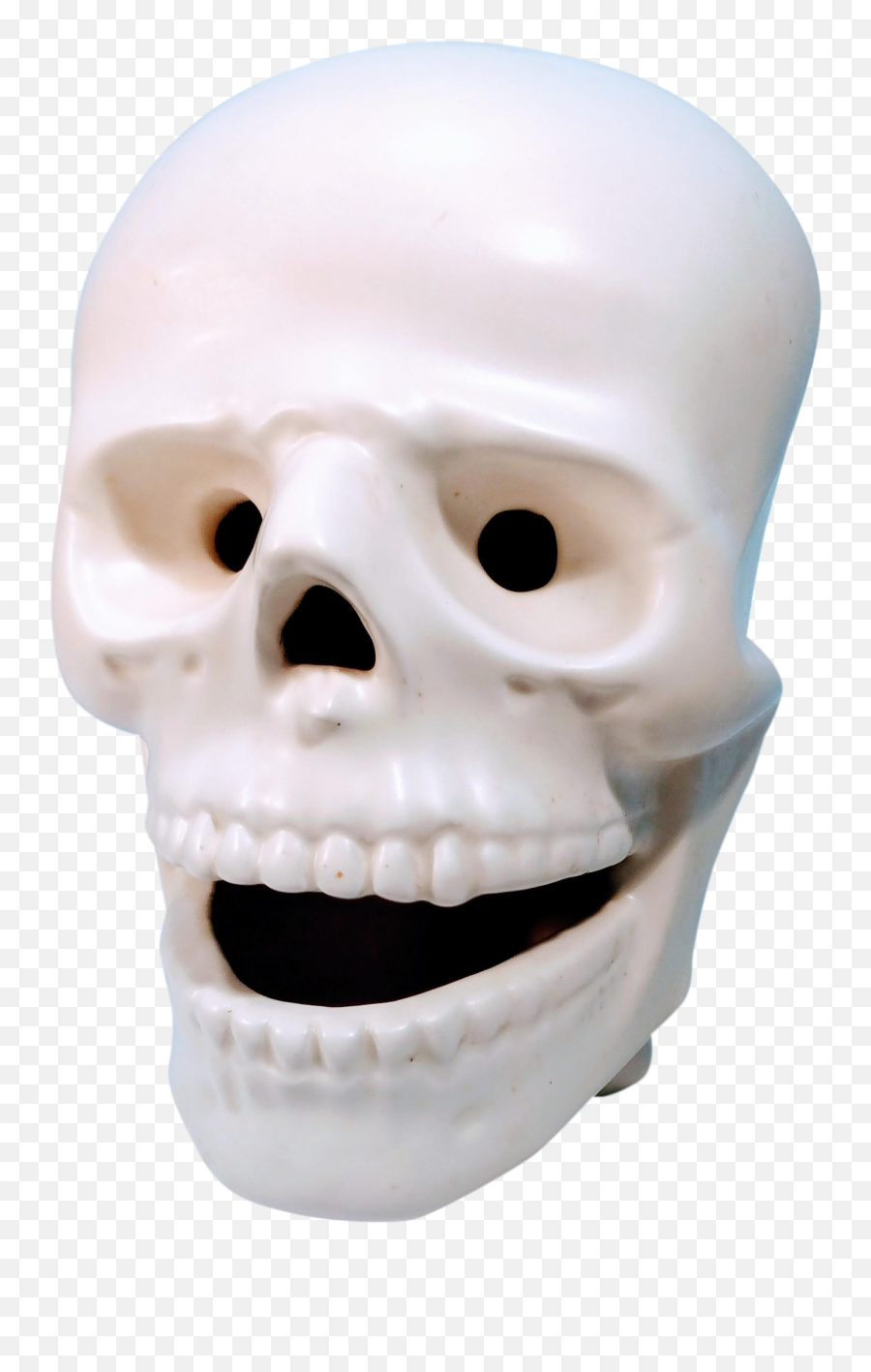 Vintage Atlantic Mold Company Atribued Bone Head Face Facial Skull Skeleton - Skull Png,Skeleton Face Png