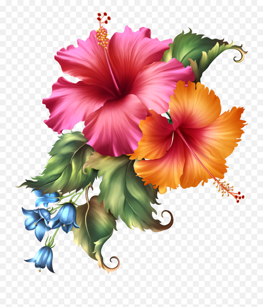Awesome Hawaiian Flowers Wallpapers - Top Free Awesome Oil Painting Flowers To Paint Png,Flower Icon On Ipad Lock Screen