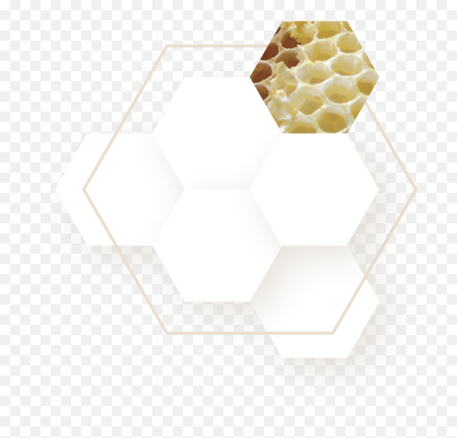 Montaia Connect Support Inspire - Horizontal Png,Tv Honeycomb Icon