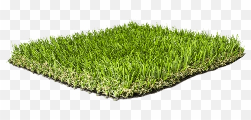 Grass Blade Texture Png - Artificial Grass Liquidators Turf