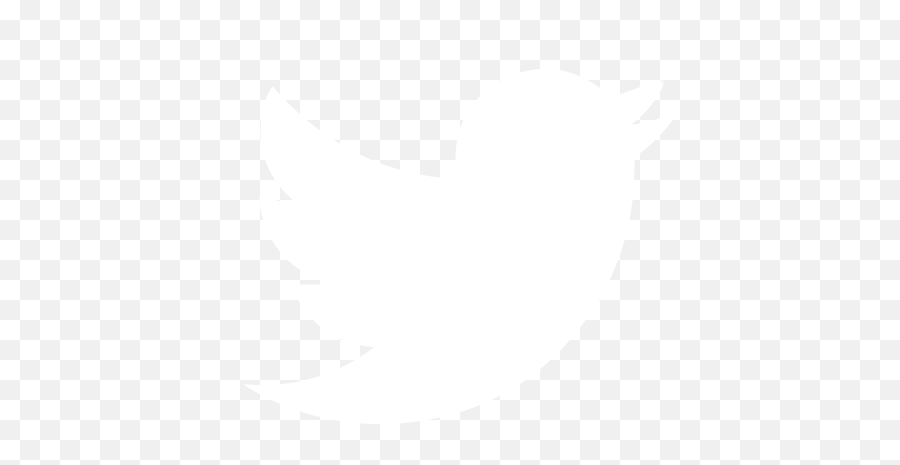 Rendering A Julia Set Zoom Animation In Typescript Nicolò - Vector White Twitter Logo Png,Two Infinity Stack Icon