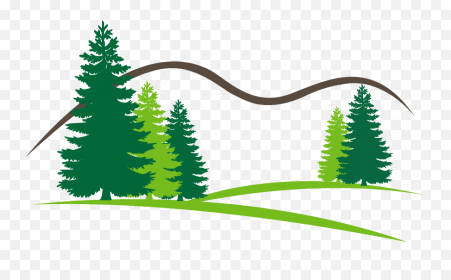Welcome To Open Canopy Tree U0026 Landscape - Open Canopy Tree Pine Tree Silhouette Vector Png,Tree Canopy Png