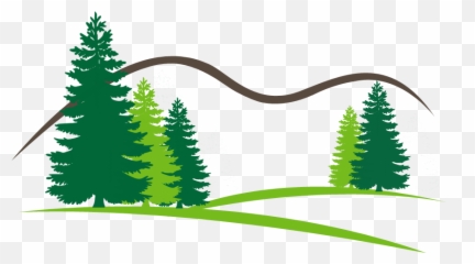 Welcome To Open Canopy Tree U0026 Landscape - Open Canopy Tree Pine Tree Silhouette Vector Png,Tree Canopy Png