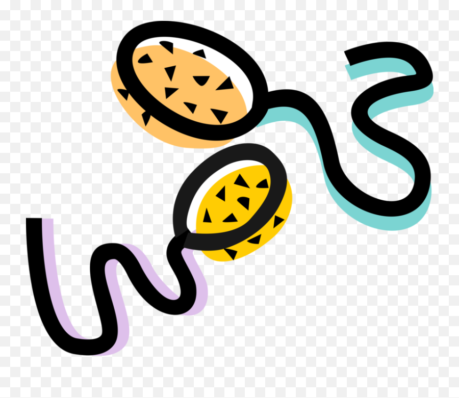 Male Sperm Swims To Fertilize Female Egg - Vector Image Sexual Reproduction Clip Art Png,Sperm Icon