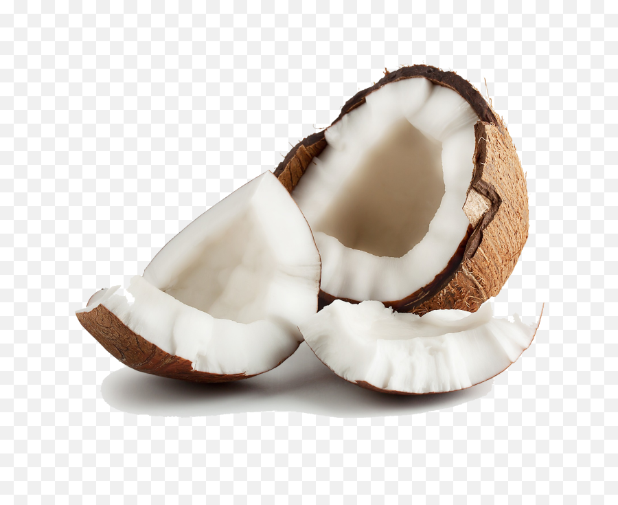 Coconut Transparent Png - Transparent Transparent Background Coconut,Coconut Png