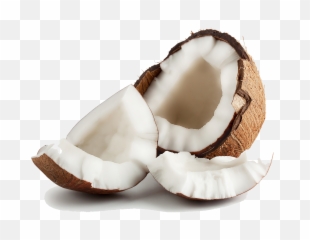 Coconut Transparent Png - Transparent Transparent Background Coconut,Coconut Png