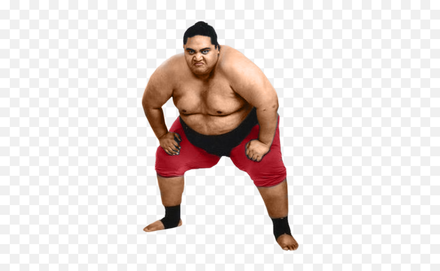 Sumo Png - Sumo Wrestler Png Transparent,Wrestling Ring Png