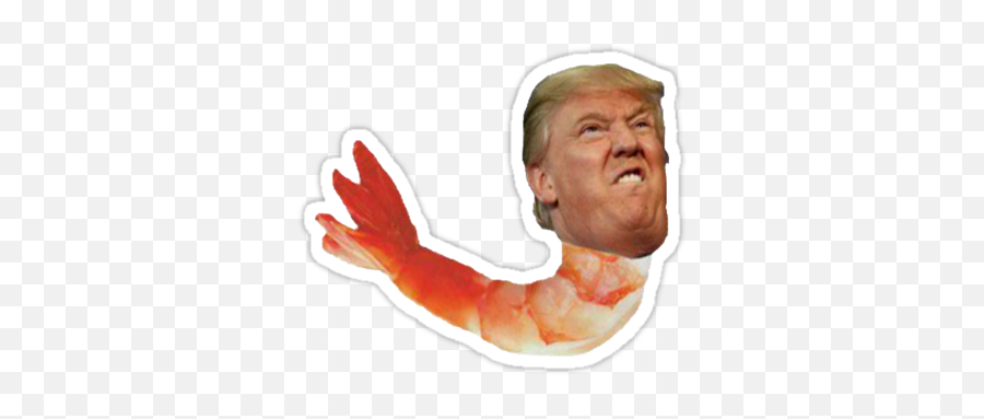 Shrimp Trump Stickers Sticker Design - Donald Trump Shrimp Png,Trump Head Transparent