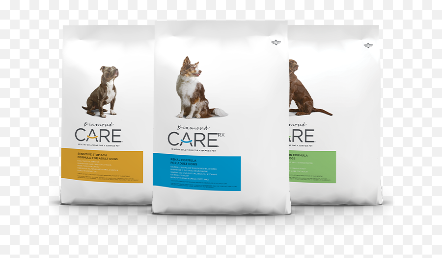 Diamond Pet Foods Dog U0026 Cat Food Of Exceptional Quality - Renascence Bulldogge Png,Dog And Cat Png