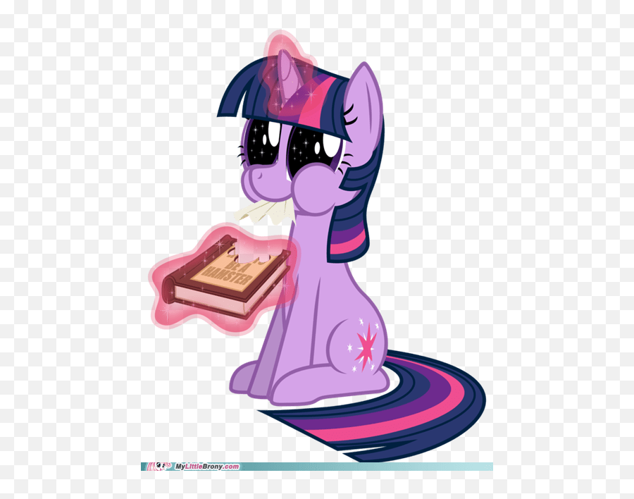 Tastes Like Science - My Little Brony My Little Pony My Little Pony Gif Png,Twilight Sparkle Transparent