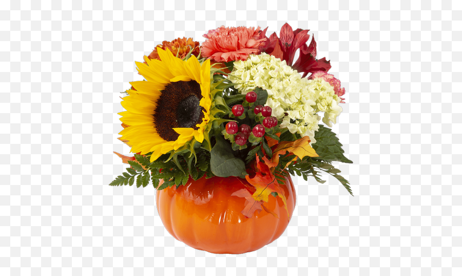 Pumpkin Spice Small Connells Maple Lee Flowers And Gifts - Bouquet Png,Pumpkin Transparent