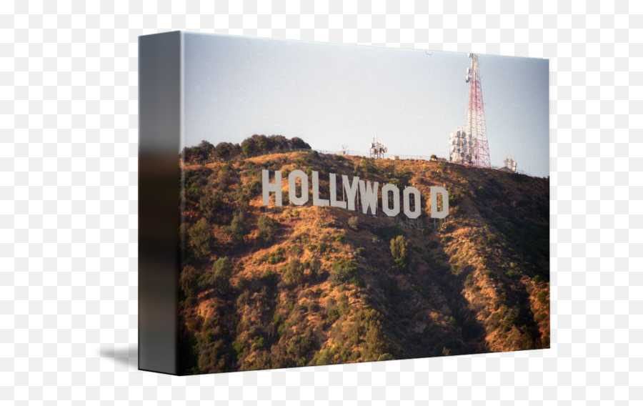 Hollywood Sign By Michael Hall - Hollywood Sign Png,Hollywood Sign Transparent