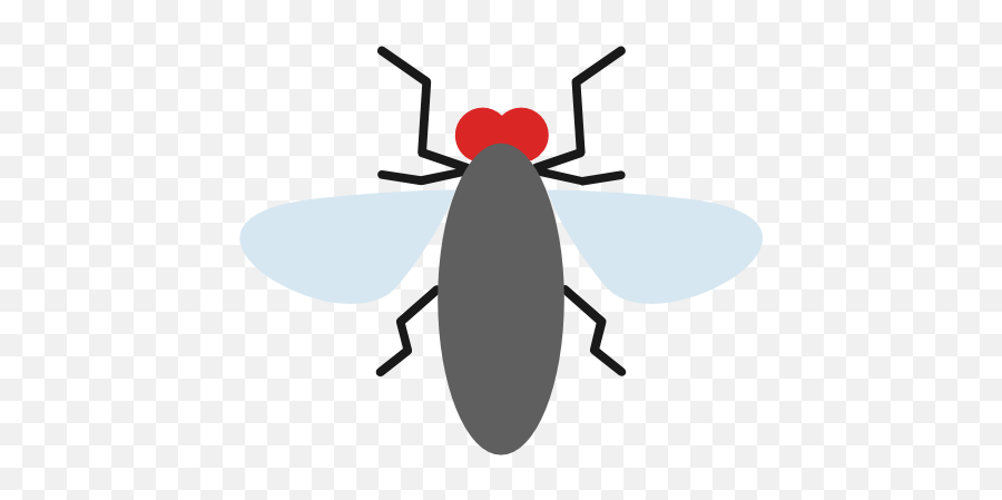 Insects Insect Fly Free Icon Of Flat Icons - Ant Png,Insects Png