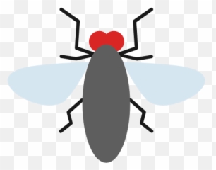 Insects Insect Fly Free Icon Of Flat Icons - Ant png