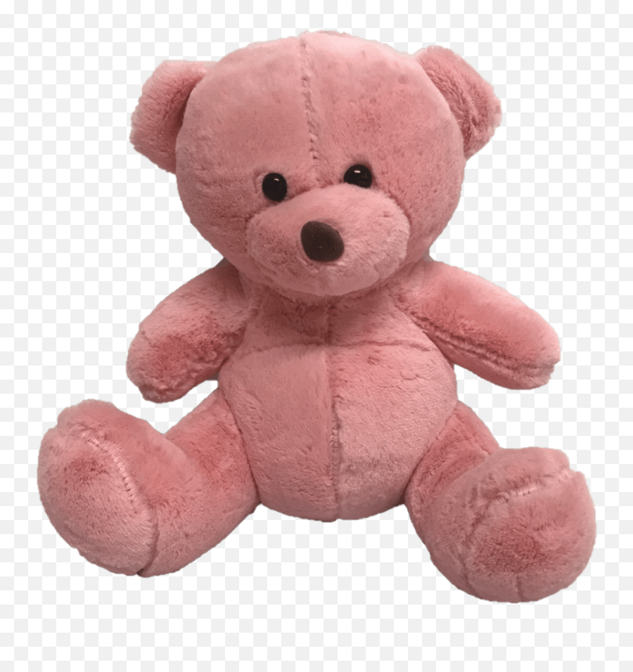 Teddy Bear - Pink Allu0027s Rosy Florist Pink Transparent Teddy Bear Png,Baby Bear Png