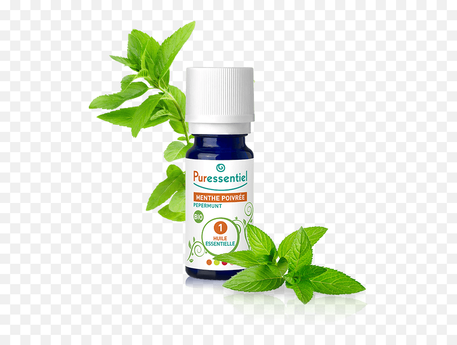 Download Puressentiel Essential Oil Peppermint 10ml - Mint Leaves Png,Peppermint Png