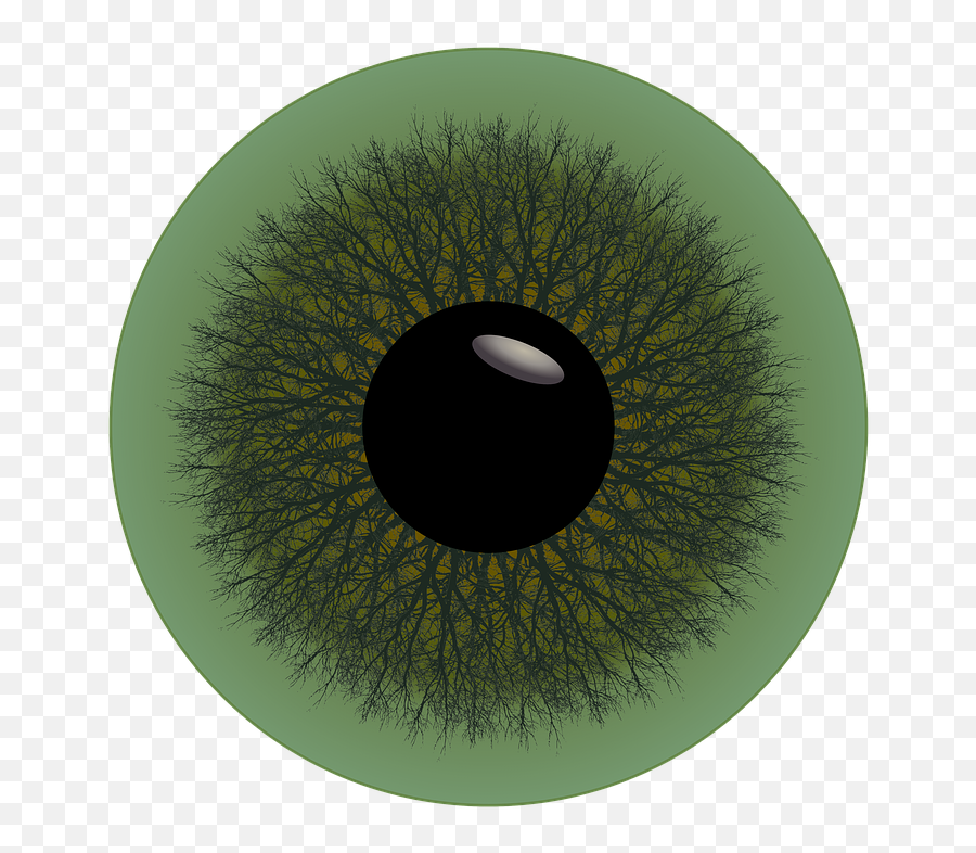 Eye Iris Green - Free Image On Pixabay Hole In The Wall Gang Png,Green Eye Png