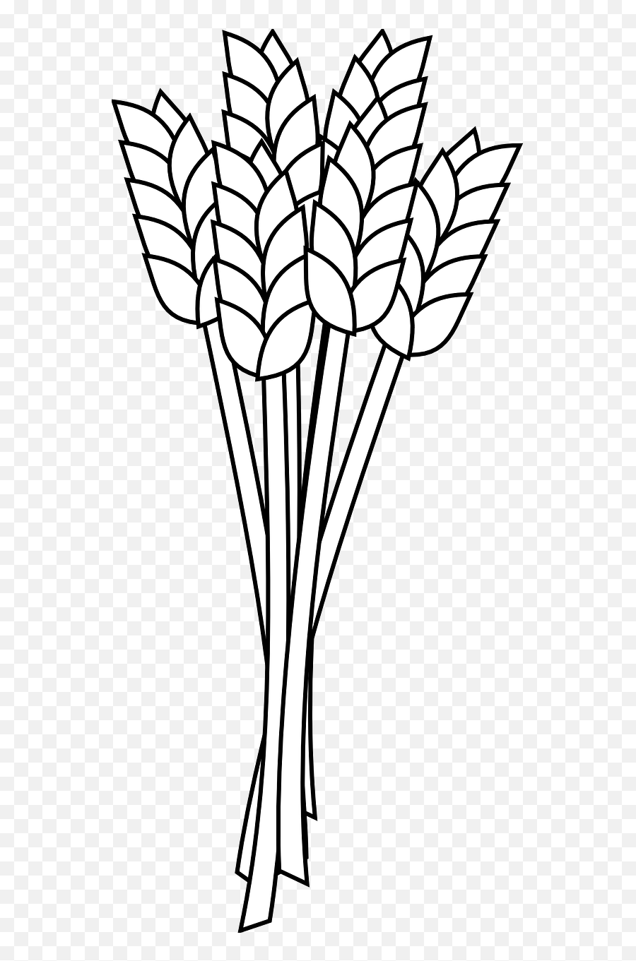 Cornfield Paintings Search Result - Clipart Wheat Outline Png,Corn Field Png