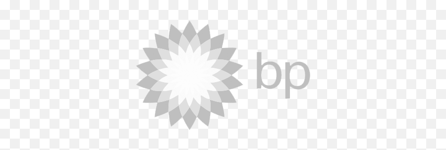 Overview - British Petroleum Logo Png,Bp Logo Png