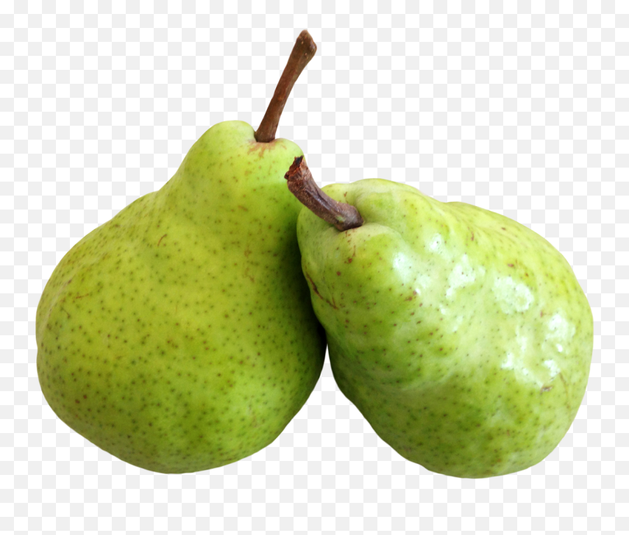 Common Guava Png Images - Pear Png,Guava Png
