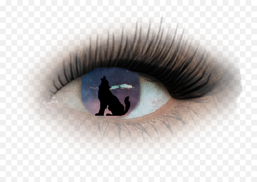 Largest Collection Of Free - Black Cat Png,Wolf Eyes Png