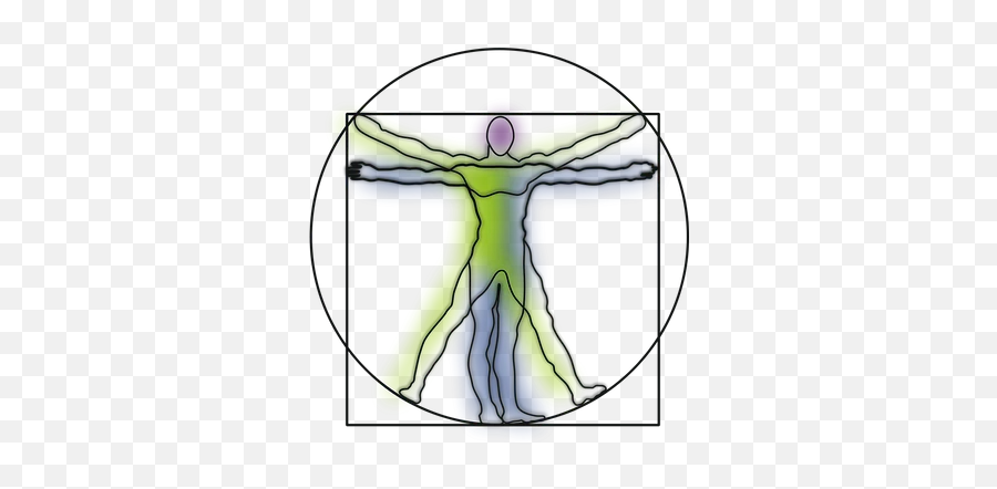 Vitruvian Man - Vitruvian Man Clipart Png,Vitruvian Man Logo