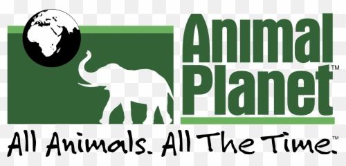 Animal Planet 1 Logo Png Transparent U0026 Svg Vector - Freebie Transparent Animal Planet Logo,Transparent Animals
