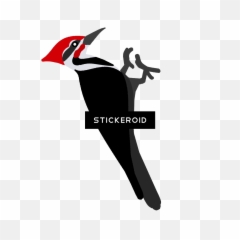 Pileated Woodpecker Transparent Png - Pileated Woodpecker Clipart,Woodpecker Png