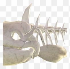 Fish - Artifact Png,Fish Skeleton Png