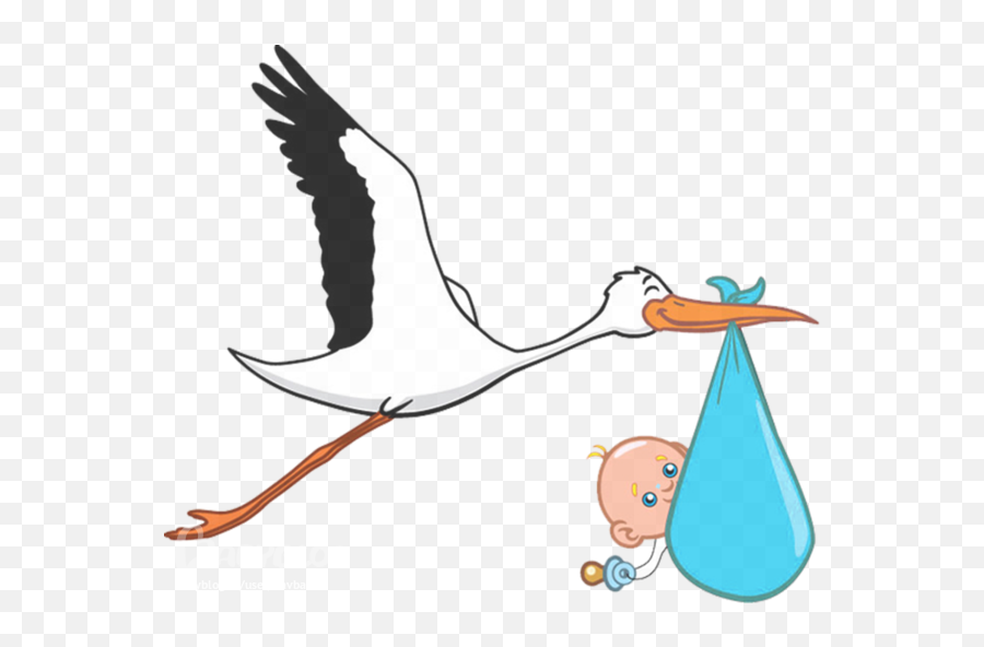 Png Image Collection Free Download - Stork With Baby Png,Baby Transparent Background