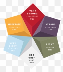 Potency Scale U2013 Blunt U0026 Cherry - Horizontal png